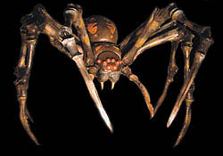 spider2